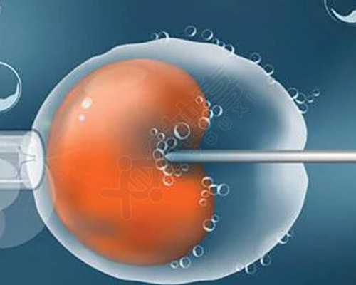 代生试管医院~孕早期可以补钙吗