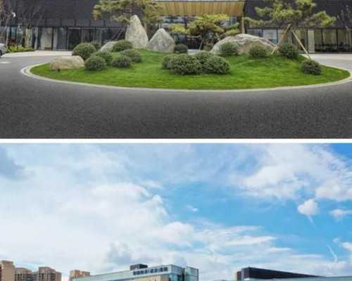 代生孩子~「叶酸」吃叶酸能改善白头发吗？