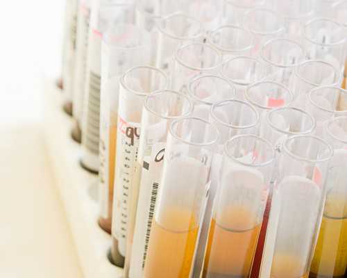 代怀流程~魔芋豆腐_魔芋豆腐怎么做好吃_魔芋豆腐的营养价值