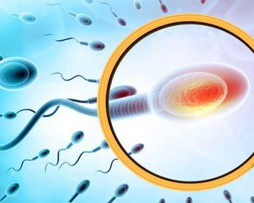 试管生子助孕~查怀孕验血报告怎么看结果