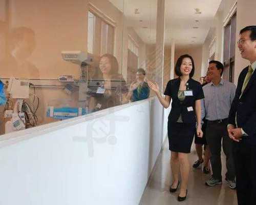 辅助生殖与三代试管费用：详细流程及助孕策略解析