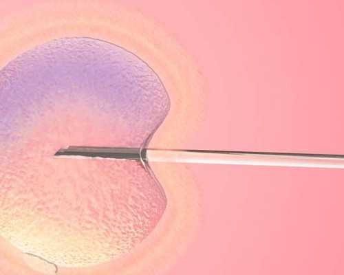 贵阳辅助生殖：供卵试管助孕费用、流程与代生选择深度解析