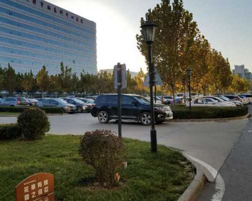 能供卵试管吗~怀孕晚期能喝菊花茶吗