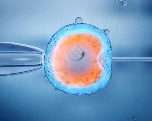 代生宝宝医院~孕妇能吃蓝莓李果吗