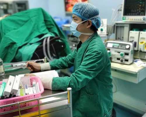 正规代生机构~洋葱炒鸡蛋_洋葱炒鸡蛋的功效